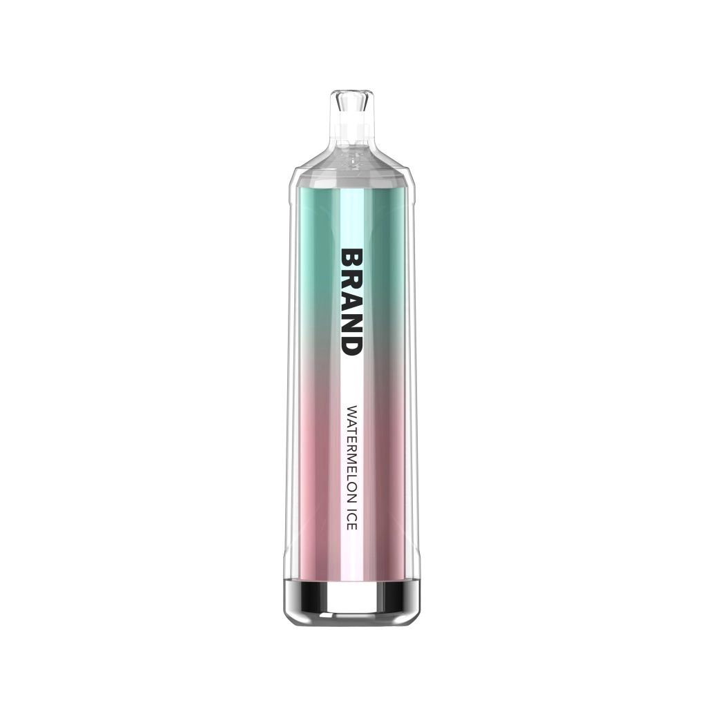 Eco-Friendly Disposable Vapes: Are They Really Possible in 2025?-1 disposable vapes that last for a lot of puffs